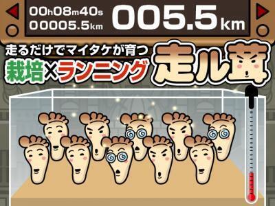 ランニングできのこが育つ！新感覚アプリ「走ル茸」