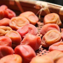 改めて見直してみよう。「梅干しの効能」