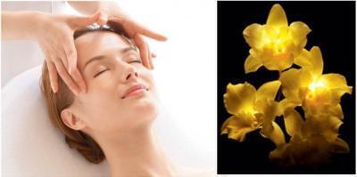 オーキデ アンペリアル贅沢に使用し透明感のある明るい肌へ「オーキデ アンペリアル ブライトニング 」発売-ゲランパリ