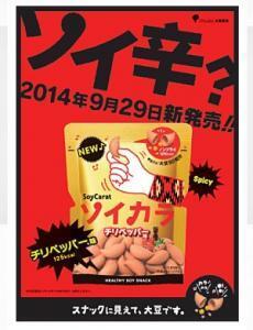 スパイシーなオトナの『ソイ辛』ついに誕生！