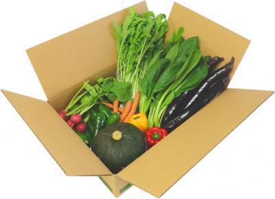 妊活・妊娠・育児中の女性向け野菜セットがWEBで簡単購入できる！？