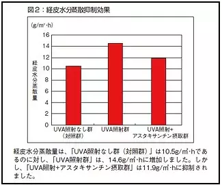 経口摂取で確認、アスタキサンチンのシワ形成阻害と肌の保湿