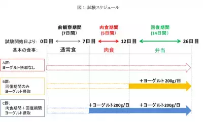 肉と卵だけを食べると腸内は悪玉菌の天下に？！ヨーグルトの出番です。