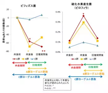 肉と卵だけを食べると腸内は悪玉菌の天下に？！ヨーグルトの出番です。