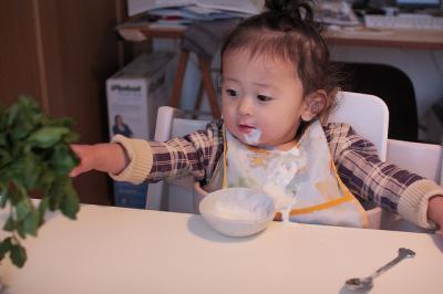 雪印メグミルク　同社の乳酸菌のインフルエンザ予防効果を昨年に続いて学会発表