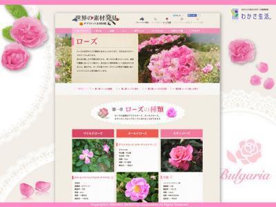 バラ専門サイト「ローズ図鑑」オープン！
