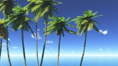 紫外線をカットするだけじゃない！利用する日焼け止めができる？