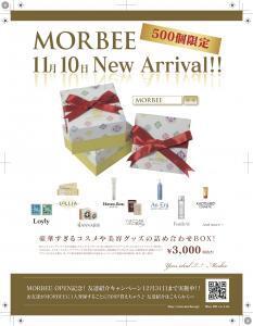 【500個限定・11月10日発売】超豪華！美容グッズ詰め合わせBOX「MORBEE」