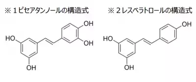 森永製菓　アンチエイジング機能をもつパセノール(R)の研究を続々発表発表