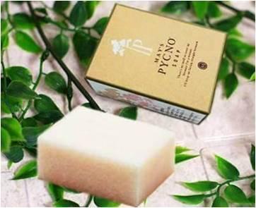 夏の“つるり肌”応援キャンペーン「メイスPGソープ」最大3,110円オフ！