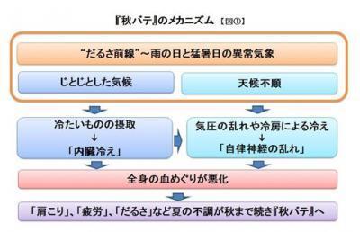 血液の巡りを良くして、秋バテ対策！