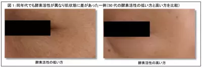 ポーラ化成、目元の美しさの鍵を発見！