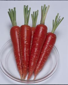 女性の9割は「野菜好き」。美容に取り入れたい「高機能野菜」とは。