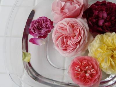 女性なら1度はやってみたいバラ風呂　お風呂専用バラ「バスリエローズ」登場