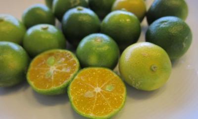 ダイエットにも美容にも効果がある「ノビレチン」を多く含む果物は