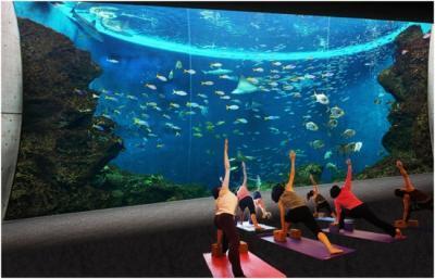 巨大水槽前でお泊まり＆ヨガレッスン！非日常が味わえるツアーが登場