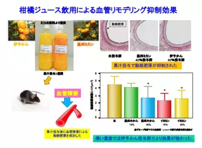 みかんで血管年齢の若返り