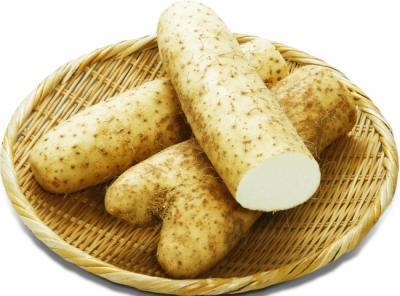 アラフォー世代向け、「ヤムイモ」配合のサプリが登場