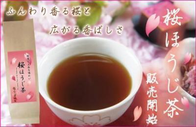 春限定！専門店こだわりの「桜ほうじ茶」が発売