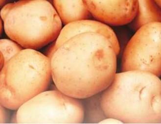 ダイエッターに朗報！『ポテイン(R)』がダイエットに有効！？