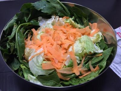 その道のプロが仕掛ける「食べるエステ＆ダイエット」先行体験キャンペーン