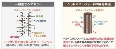 「染める」「癒やす」「育む」が1つに！レフィーネの白髪染めは、健やかな頭皮を育む！