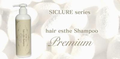 水を使わないシャンプー！天然シルク泡でヘアパックする究極のシルクシャンプー登場！