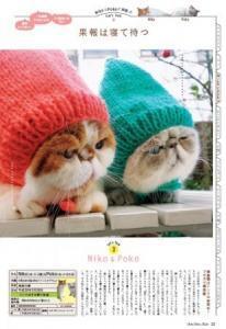 にゃんチャージ！自由で無邪気な猫たちに癒やされる