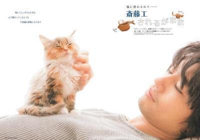 にゃんチャージ！自由で無邪気な猫たちに癒やされる