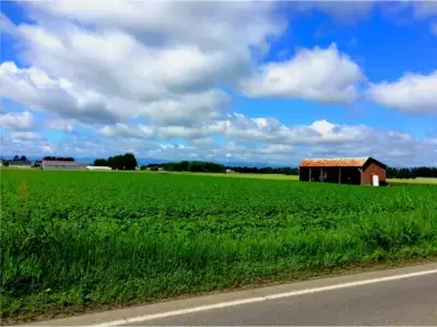 専用ポータルも登場、注目は体験型の特典!? 2016年はどうなる？「ふるさと納税」