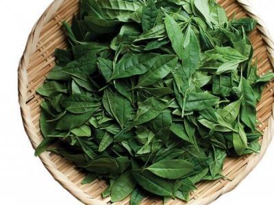 お茶ってスゴイ！でも飲まないで、食べて欲しいの。