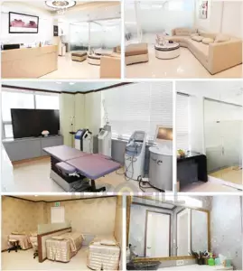 メール・LINEでお気軽に　韓国の美容整形クリニック、日本語対応の相談センターを開設