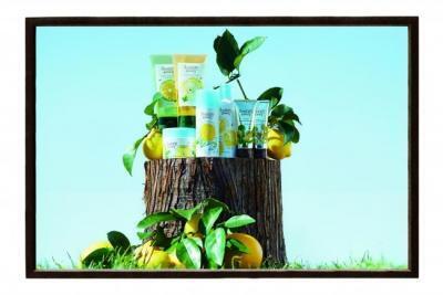 クールでさらさら、夏のスキンケアを快適に！