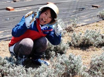 ハーブの収穫からできる！オリジナル化粧水作りを体験したい！