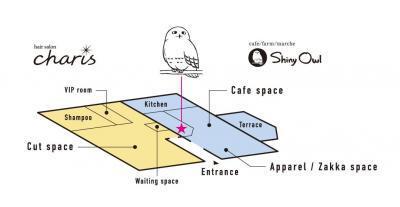 美と健康テーマのライフスタイル店「Tomigaya D‐Square（トミガヤディースクエア）」開店