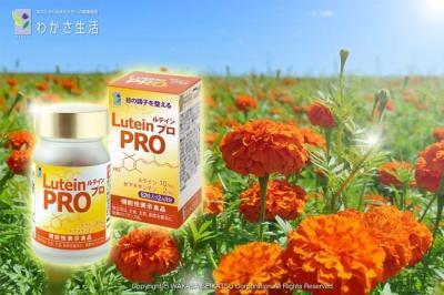確かな品質！目の調子を整える医療機関専用サプリメント「ルテイン　プロ」新登場！