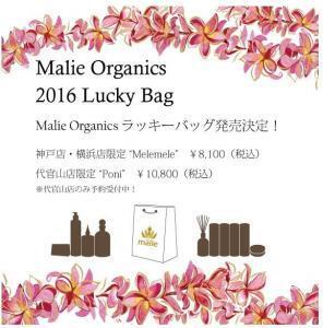 正月はハワイで！？日本でもハワイの大自然は体感できますよ