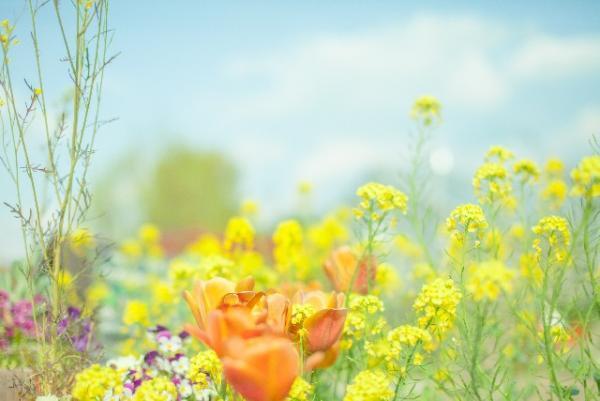 漢方で夏のダメージを改善して若返り！「漢方女子会」開催