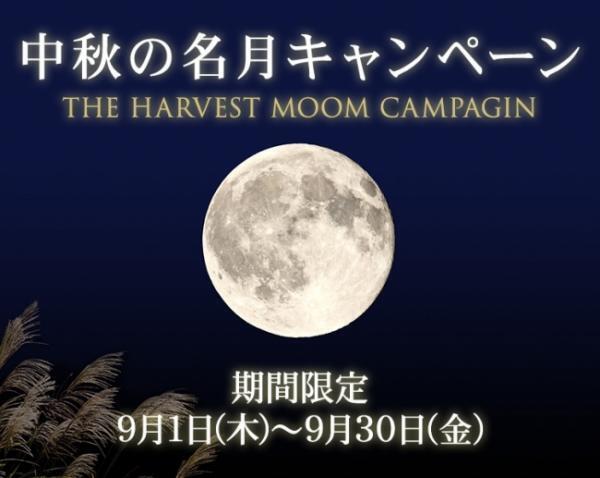 スキンケアに月のパワーを取り入れる！？ムーンメソッドでデトックス！