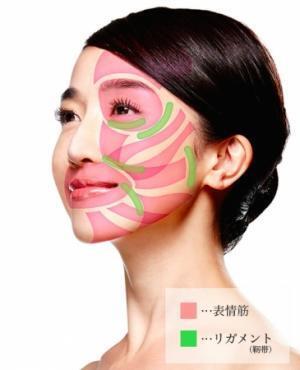 1日3分で小顔に！美顔器『コルギストーン』の新色発売