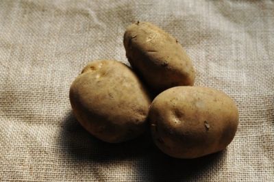 食べすぎ防止に意外な食べ物が効果的！料理研究家がアドバイス