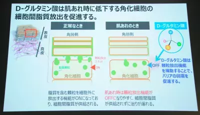 【2017年最新トレンド】赤ちゃんの肌のような“うるおい貯蓄肌”の鍵となる、「ベビーアミノ酸」に大注目！