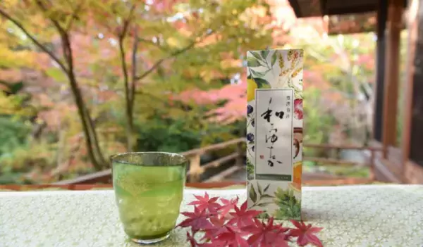 オールインワン青汁で健康的な美しさに