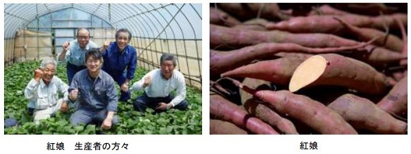 ジャンクなおやつはもうおしまい！『国産野菜チップス』に超レアな新商品