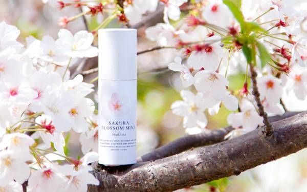 タバコの煙の代わりに桜の香りはいかが？「フレンバー」より新フレーバーが発売