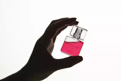 「サンテ ボーティエ コンタクト」有名デザイナーが手がける美しいデザインが話題に