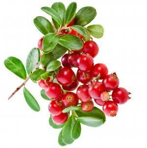 キレイもカラダもつくりたい人へ。サプリブランド「ザ・コラーゲン」が新ライン展開