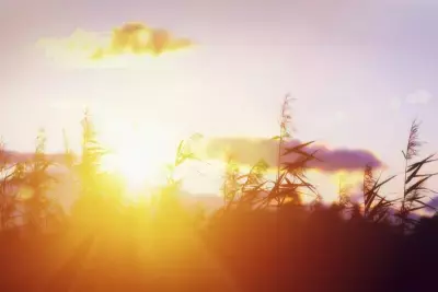 デキル人は「朝活」をしている！朝の時間を有効活用して仕事も勉強も効率アップ！