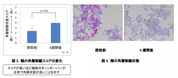 コーセー、「ハトムギエキス」の摂取が肌の透明度アップに効果的と発表