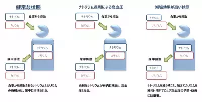 「トマト減塩食」で減塩効果が実証！おいしさや調理の手軽さにも期待大